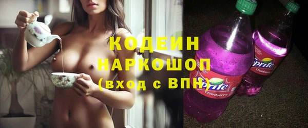 ПСИЛОЦИБИНОВЫЕ ГРИБЫ Гусев