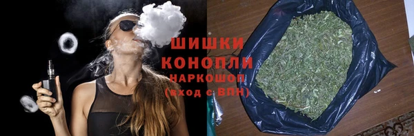 хмурый Гусь-Хрустальный