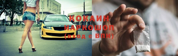 ПСИЛОЦИБИНОВЫЕ ГРИБЫ Гусев