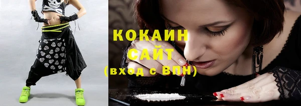 хмурый Гусь-Хрустальный