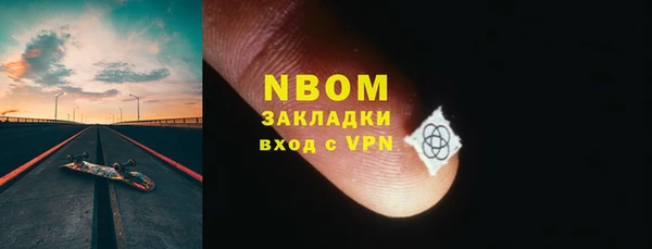 ПСИЛОЦИБИНОВЫЕ ГРИБЫ Гусев