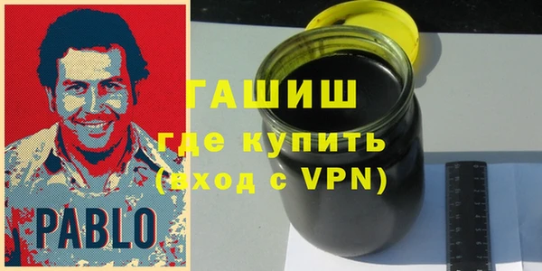 хмурый Гусь-Хрустальный