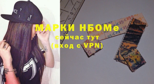 хмурый Гусь-Хрустальный
