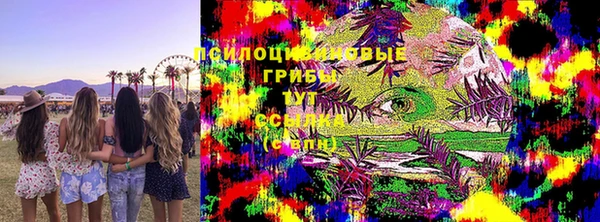 ПСИЛОЦИБИНОВЫЕ ГРИБЫ Гусев