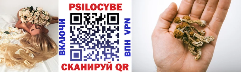 наркота  Далматово  Псилоцибиновые грибы мухоморы 